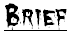 Brief